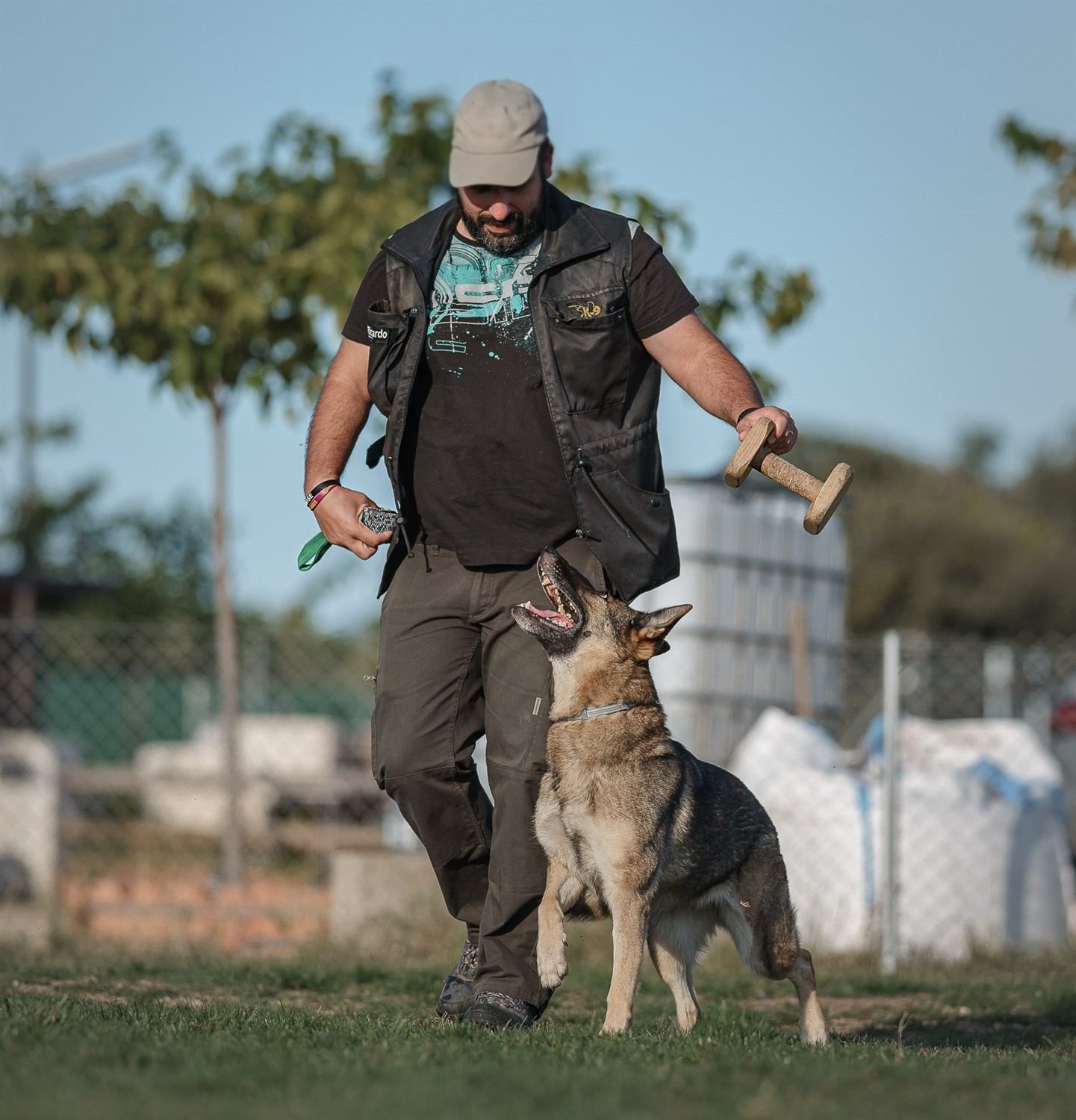 Trabajo de obediencia con el aporte junto al guía